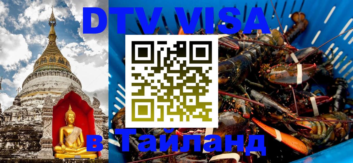 Оформление DTV визы под ключ: стоимость и тарифы, только загранпаспорт - Тегеран 